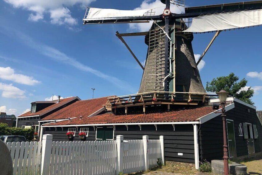 Half day private tour from Amsterdam or (AMS) Schiphol, custumizable