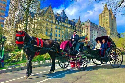  Horse & Carriage Ride through Central Park, VIP Tour with photo stops (50m...