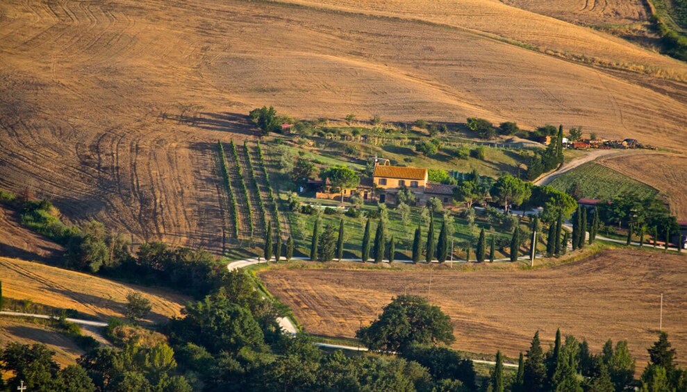 Napa Valley Guided Wine Tour with Picnic Lunch
