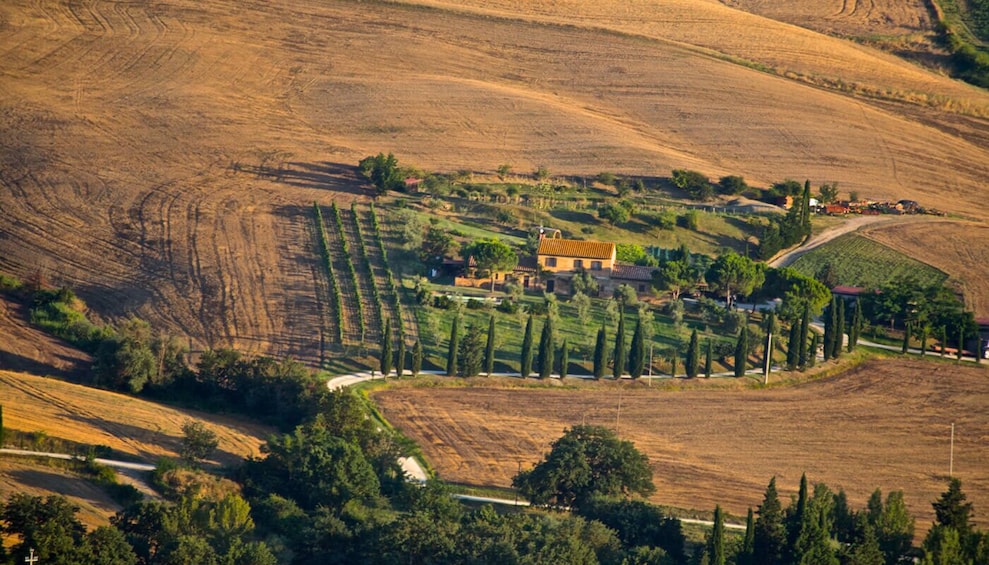 Napa Valley Guided Wine Tour with Picnic Lunch