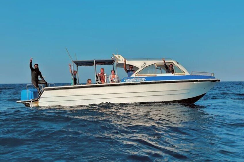 find dugong speedboat trip 