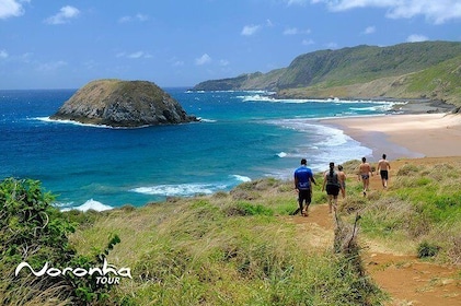 Full Day Guided Tour to Fernando de Noronha Island