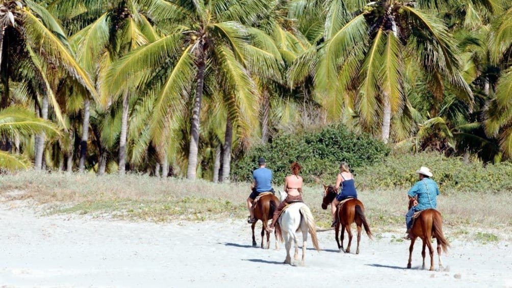 Horseback riding in Mazatlan 