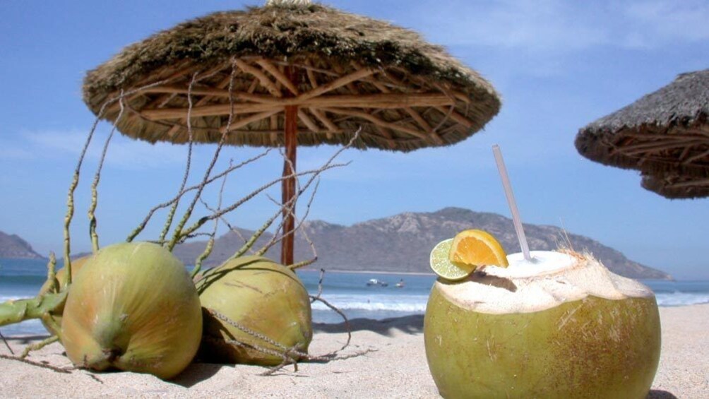 Coconuts by the water in Mazatlan 