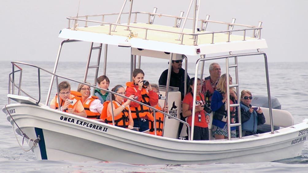 Show item 1 of 4. Group on the Whale Quest tour in Mazatlan