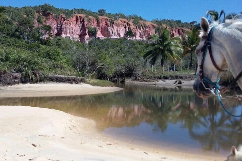 Tour to Arraial d'Ajuda by #PortoTodoDia