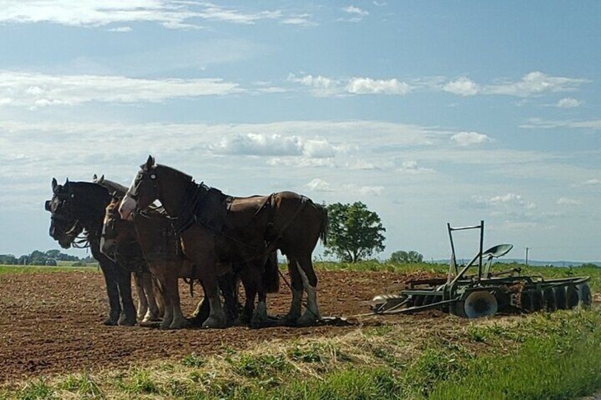 Unique Amish Immersion in Lancaster