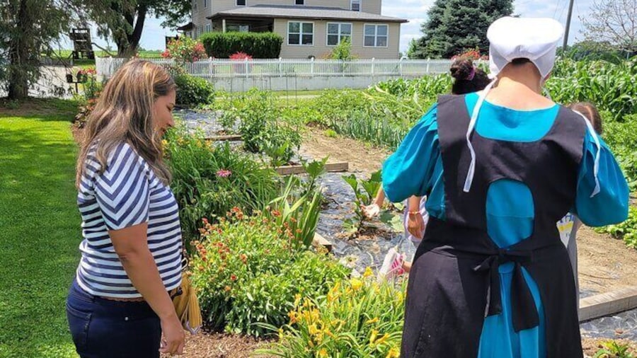 Unique Amish Immersion in Lancaster