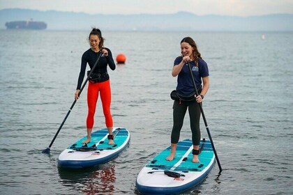 Adult Beginner Group SUP Lessons