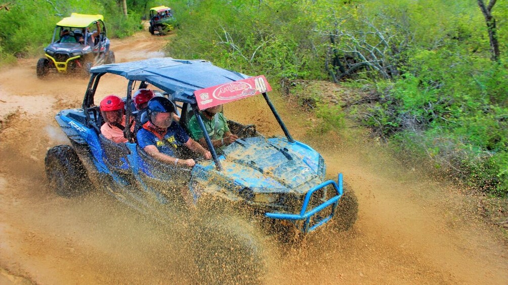Half-day Wild Desert Polaris Razor UTV Experience
