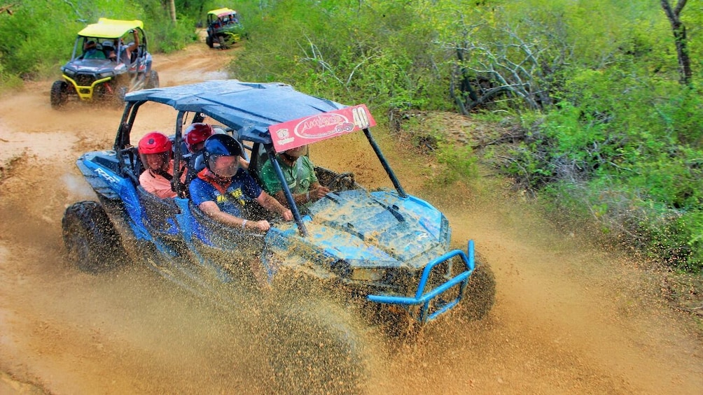 Half-day Wild Desert Polaris Razor UTV Experience