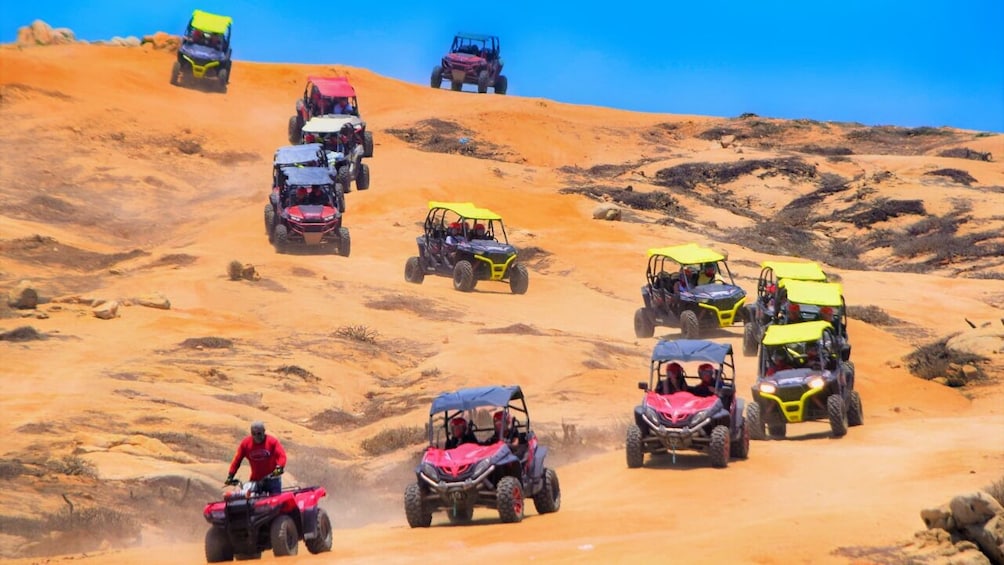 Half-day Wild Desert Polaris Razor UTV Experience