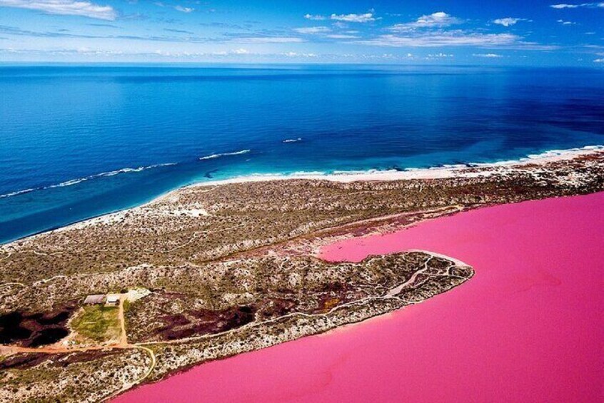 Pink Lake Small-Group Buggy Tour