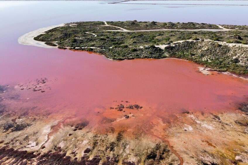 Pink Lake Small-Group Buggy Tour