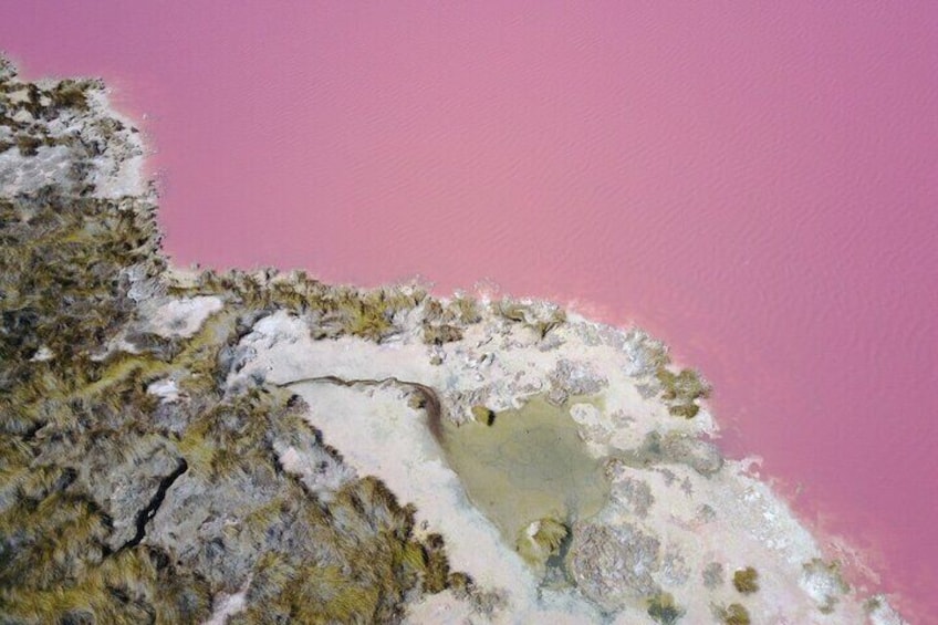 Pink Lake Small-Group Buggy Tour