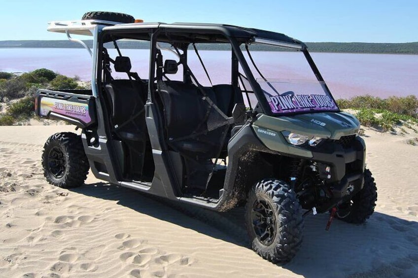 Pink Lake Small-Group Buggy Tour