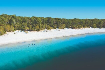 Lake McKenzie Full-Day Tour with Lunch from Hervey Bay