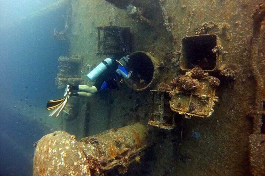 Private Diving Experience in The Heart of Red Sea in Aqaba