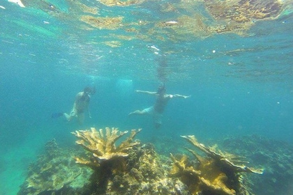 Snorkeling on The Caribbean side of Panama