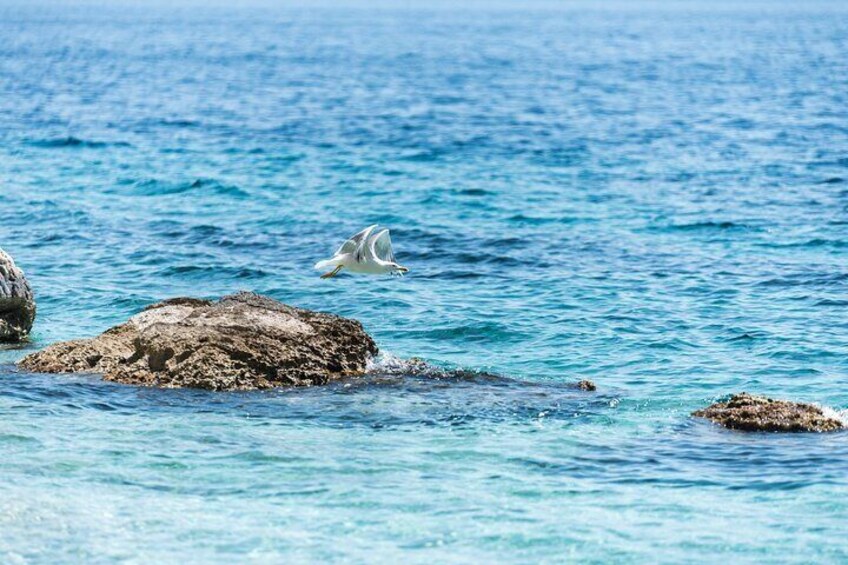 Full-Day Sea Kayaking Tour in Lefkada