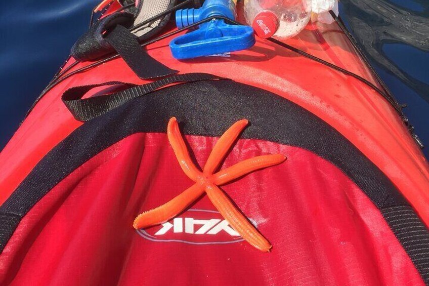Full-Day Sea Kayaking Tour in Lefkada