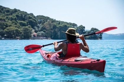 Full-Day Sea Kayaking Tour in Lefkada