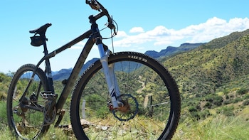 Mountain Biking
