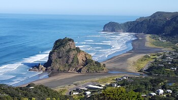 Scenic Coast & Rainforest Walk with Picnic Lunch