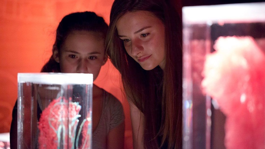 Pair of girls looking at display of internal organs at Bodies exhibit in Las Vegas