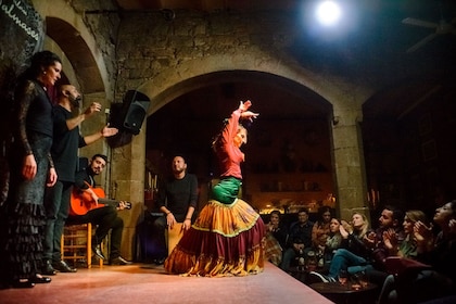 Visita a pie por el casco antiguo de Barcelona, espectáculo de flamenco y r...