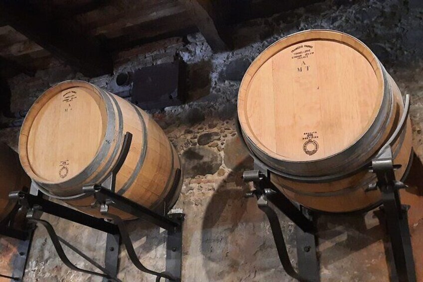Wine Experience in farm vineyard & winery from Montecatini T.