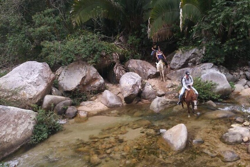 Horseback Day Tours From the Beaches South of Puerto Vallarta Bay