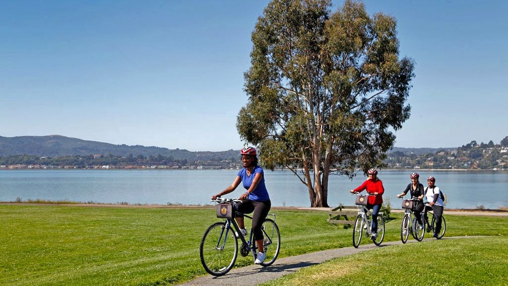 Bicyclists on a tour of san francisco 