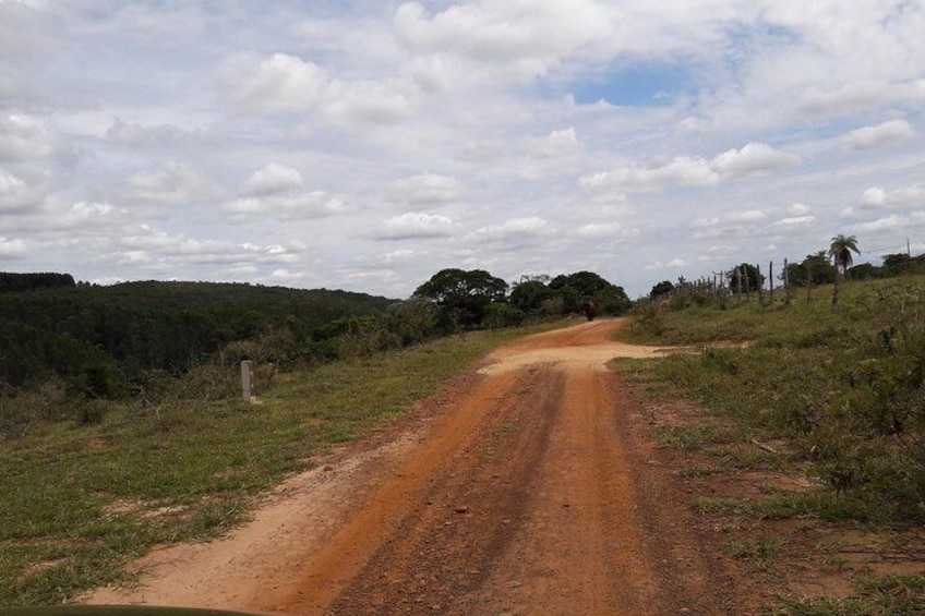 Diamond Path and Estrada Real Religious Path