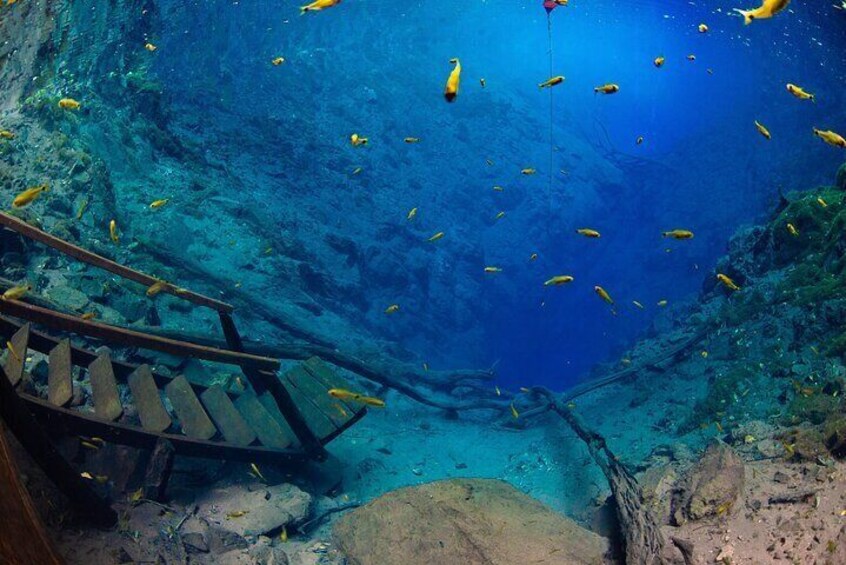 Skip the Line: Lagoa Misteriosa Admission Ticket with Scuba Diving Experience