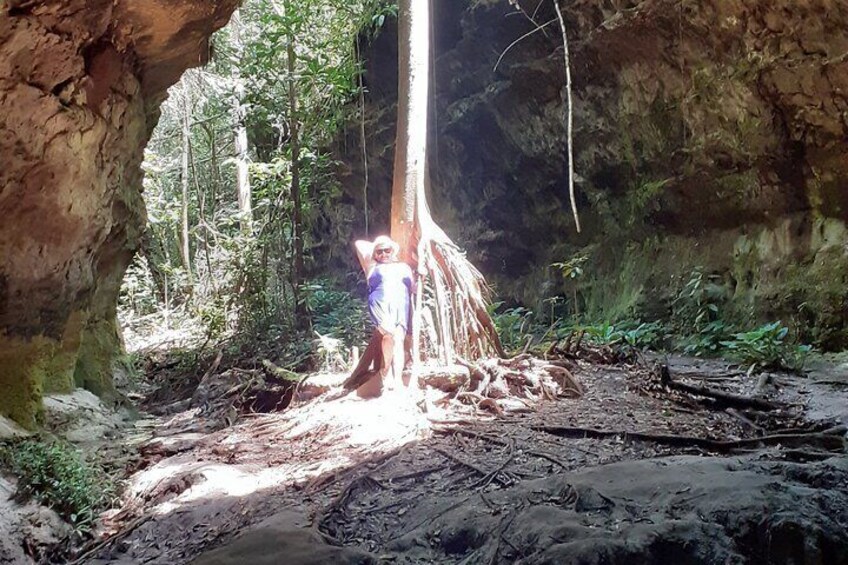 Tour in Presidente Figueiredo Iracema and Asframa Waterfalls