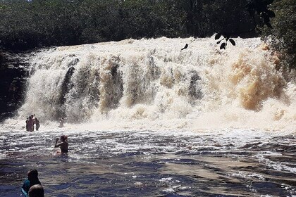 Private Tour of Iracema and Asframa Waterfalls in Manaus