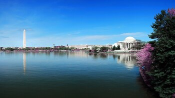 Spirit of Washington DC Brunch Cruise
