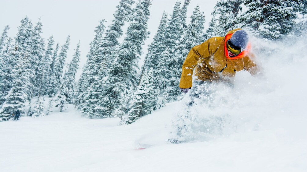Cargar ítem 3 de 5. Colorado ski adventure
