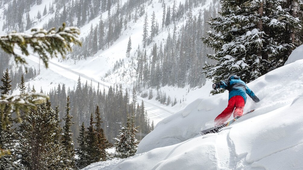 Cargar ítem 1 de 5. Beaver Creek Snowboarding experience