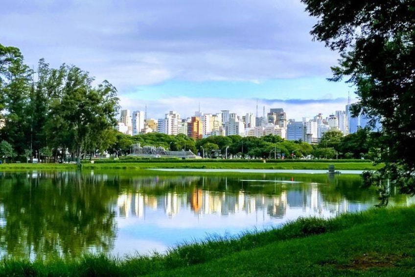 Hidden Gems of São Paulo, Brazil - Private Tour Experience with Pick Up