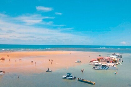 Catamaran trip to Areia Vermelha Island with transfer