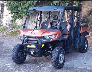 Jeep Buggy Rental