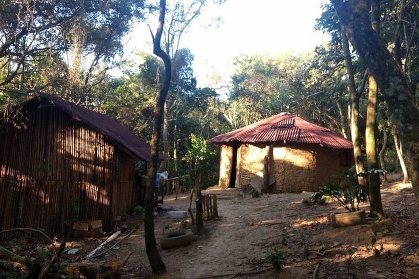 Indigenous Guarani Jaragua Experience