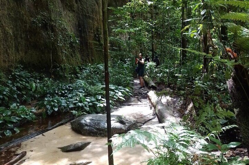 Tours Private Caverna+ Cave + Waterfall in Presidente Figueiredo