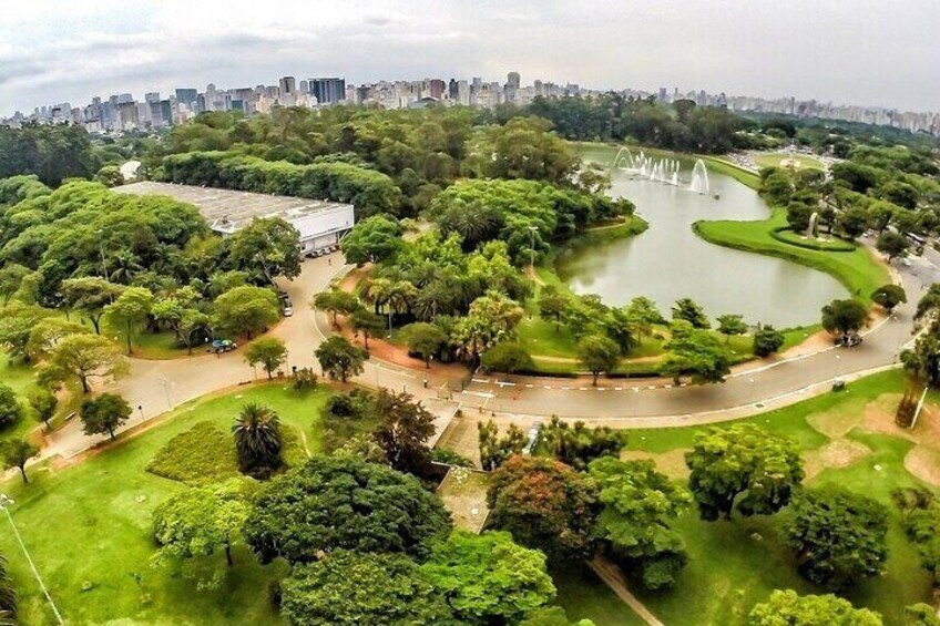 8-Day São Paulo Tour: From City to Beaches, Waterfalls & Caves