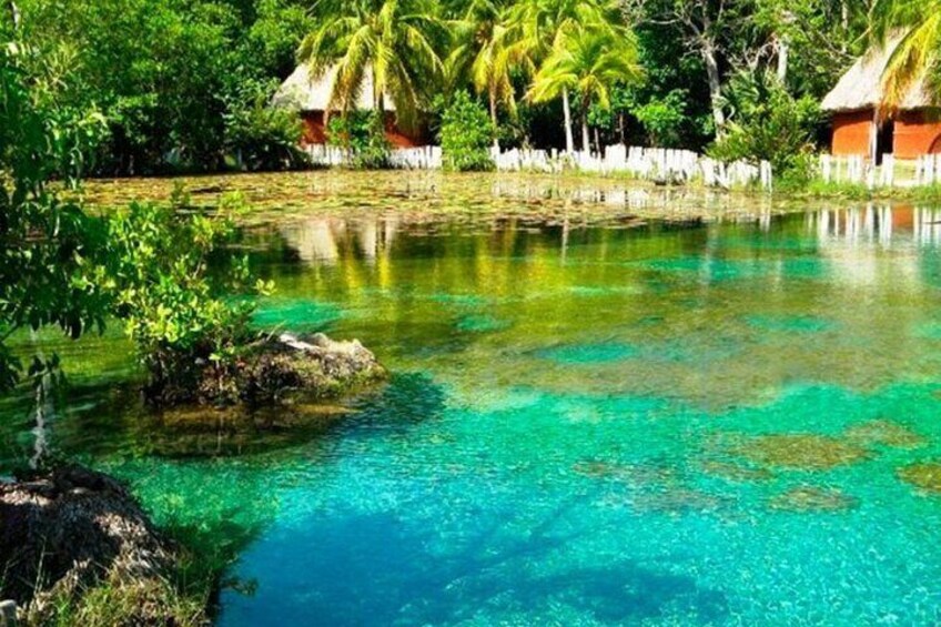 Tour to the Petenes Biosphere from Campeche