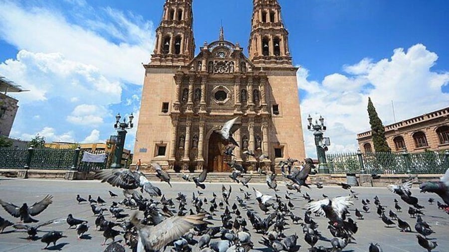 City Tour of Chihuahua