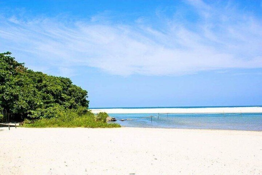 Itaguare Beach Private Tour with Indigenous Tribe from Santos