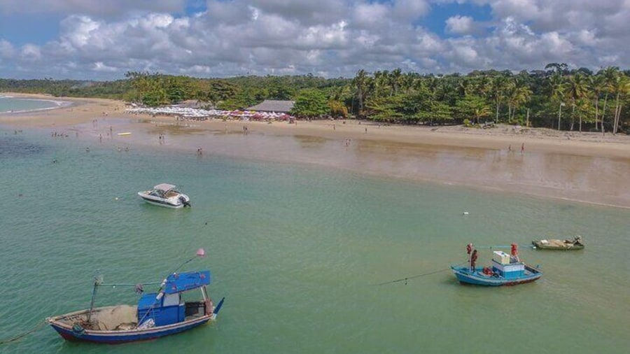 Full Day Tour in Trancoso with Chocolate Factory
